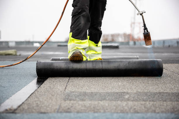 Best Roof Coating and Sealing  in Escatawpa, MS