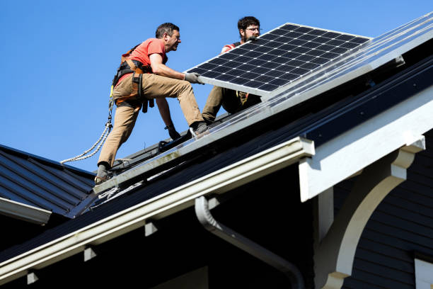 Best Skylight Installation and Repair  in Escatawpa, MS