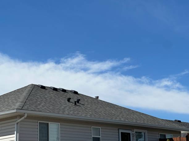 Best Roof Maintenance and Cleaning  in Escatawpa, MS