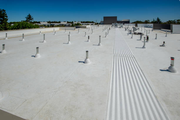 Best Roof Insulation Installation  in Escatawpa, MS